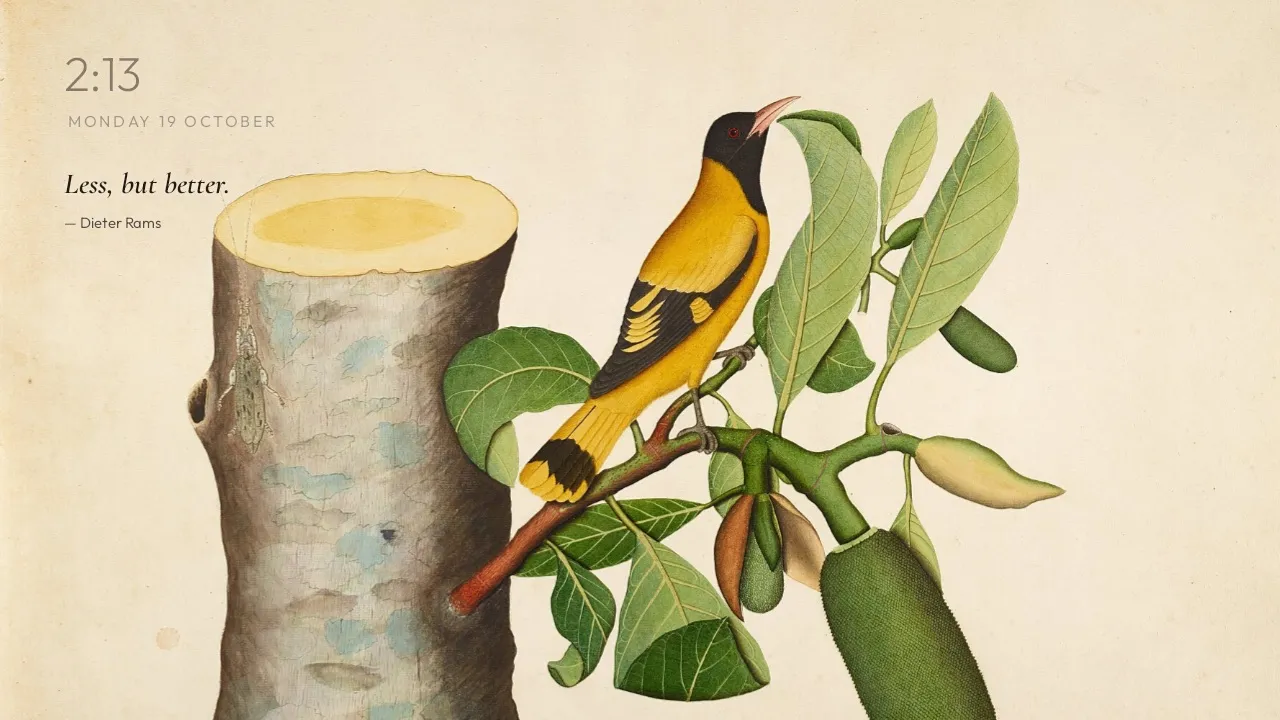 Home on Shaikh Zain al-Din's Black-headed Oriole, with dark ink and the quote Less, but better